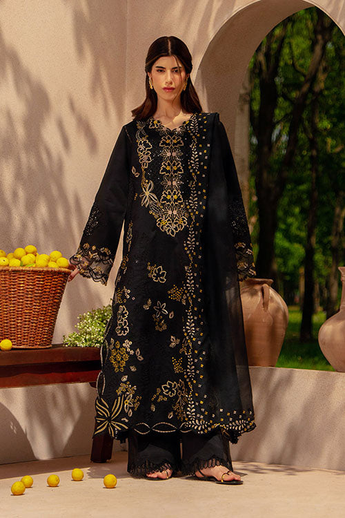 Rang Rasiya Luxury Eid Collection 2026 - D07